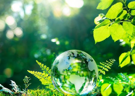 Lonsec Sustainability Report